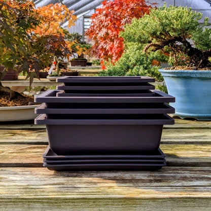 Mollyfox Bonsai Training Pots, 6-piece Bonsai Tray Large with Trays, Plastic Bonsai Planting Pot for Garden, Yard, Office, Living Room, Balcony, and more, 23x17x8cm