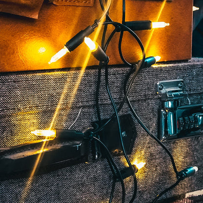 Illuminated indoor string lights powered by electricity, mini string lights with 100 clear warm bulbs, 14.85m lit up, green cable with 100 lights and plug for Christmas <59 lumens 839012