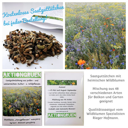 action green MEGAPACK Bamboo tubes Insect hotel Craft supplies approx. 300 nesting tubes 10cm + 300g clay powder & more! for wild bees & solitary wasps