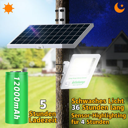INTELAMP outdoor solar lights with motion sensor, 12000mAh 3000LM Solar Spotlights Super Bright 170 LED solar lights for outdoor with remote control Solar lamp for outdoor areas with 5m cable, IP65