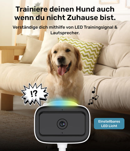 PetTec® Cam Feel Sensor 2er Set - Indoor Surveillance Camera for Pets & Babies with App [HD+] - Pet Camera Dog Camera - Baby Monitor with Camera & Night Vision feature