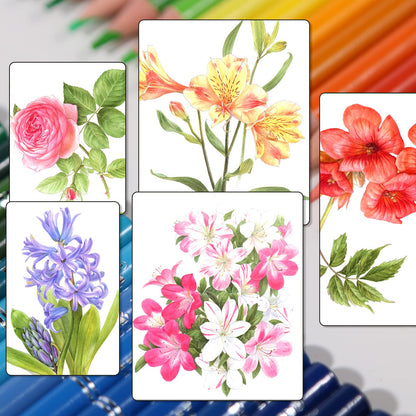 H & B 120 Colored Pencils Set Art Supplies Drawing Kit for Adults Coloring and Children Painting Sketchbook with Case