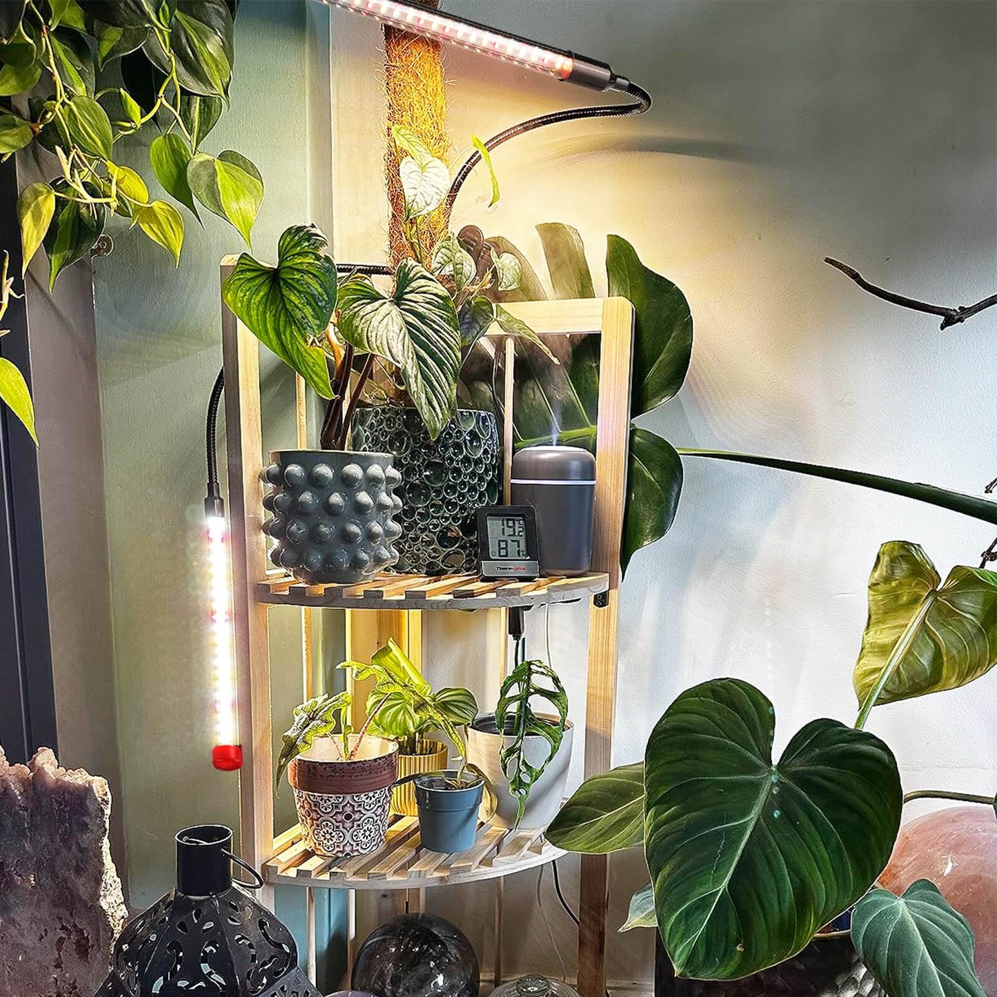 FRGROW LED Plant Lamp 18W, Full Spectrum Plant Light for indoor plants, Plant Light, Growth Lamp for plants vegetables, Precise Timer Plant Lamps Focus Function
