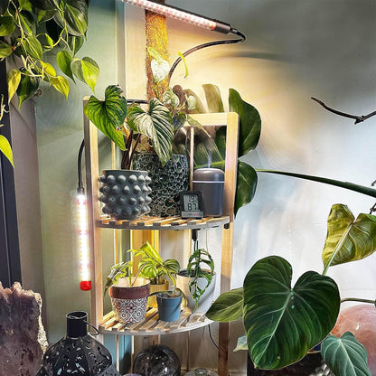 FRGROW LED Plant Lamp 18W, Full Spectrum Plant Light for indoor plants, Plant Light, Growth Lamp for plants vegetables, Precise Timer Plant Lamps Focus Function