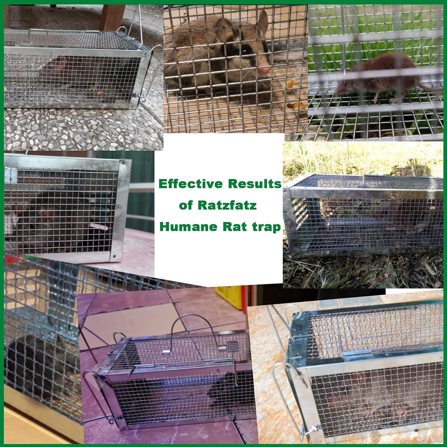 RatzFatz® Live Trap Mouse Trap, Premium Rat Trap, Large ●Including Ebook● XXL, Dormouse Professional Trap - XL Animal Trap Set, Reusable Multi-Catch Trap, Live, Hunting, Rustproof, Cage MTBSL40