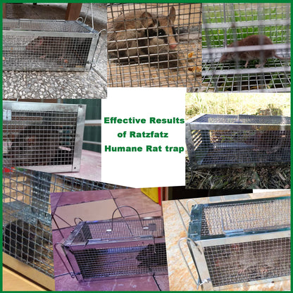 RatzFatz® Live Trap Mouse Trap, Premium Rat Trap, Large ●Including Ebook● XXL, Dormouse Professional Trap - XL Animal Trap Set, Reusable Multi-Catch Trap, Live, Hunting, Rustproof, Cage MTBSL40