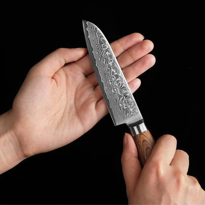 Wakoli EDIB Pro Damascus Santoku Knife | 11 cm blade made of 67 layers of Damascus steel with VG10 core | Pakkawood handle | Santoku knife for vegetables, fruits & meats | Kitchen knife in gift box