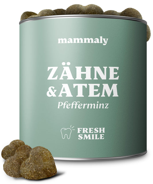 10-in-1 dental care treats for dogs - Fresh Smile 110 Snacks (325g) by mammaly - fights bad breath, tartar with peppermint, seaweed, vitamin C, parsley and more for oral hygiene, mouth care.