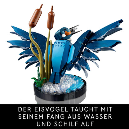 LEGO Icons Kingfisher Model Kit for Adults, Bird Model for Living Room or Office, Home and Home Office Decor, Gift for Bird Lovers and Ornithologists, Women and Men 10331