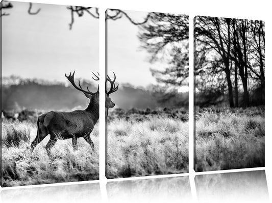 Pixxprint Deer in Sunset Canvas Print 3 Piece, Overall size: 120x80cm, Wall Art, Decoration, Ready to Hang, Not a Poster