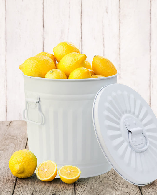 Jinfa Large metal bin with lid and handles - trash can for yellow bag, deposit container, fireplace ash bucket, feed bin, pellet container - sturdy & decorative in retro design.