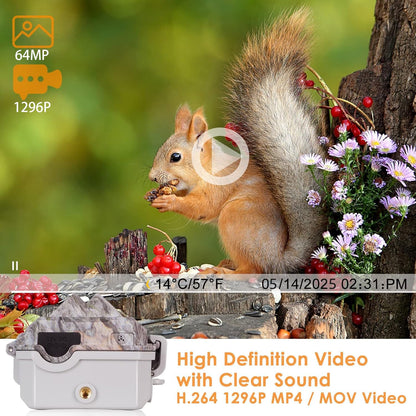 BlazeVideo wildlife camera with app, night vision photo trap 64MP 1296P Connect through app Bluetooth antenna with night vision motion detector