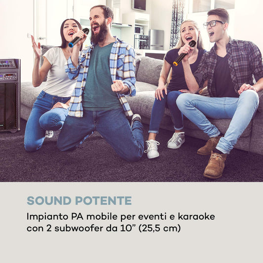 auna Pro DisGo Box DVD - Mobile PA system with built-in DVD player, 300 W max., 2 x 10 (25.5 cm) subwoofers, Bluetooth, USB, SD slot, wireless UHF microphone, battery, remote control, black.