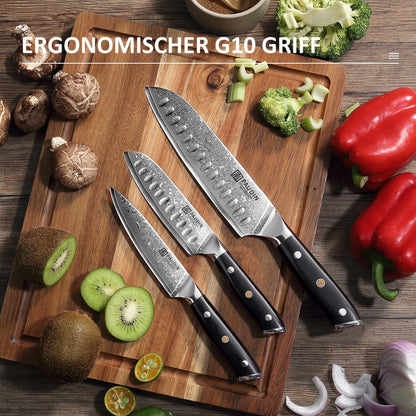 PAUDIN Damascus knife set, 3-piece knife set with ultra sharp Santoku knife kitchen knife made of 67 layers of Damascus steel with a Japanese VG10 steel core, ergonomic G10 handle.