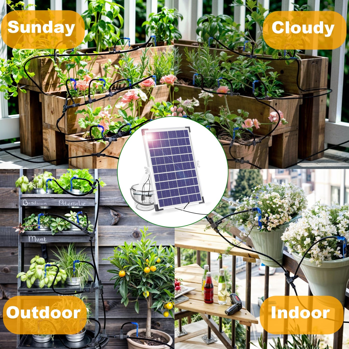 RISINGUP Solar Irrigation System for 30 pots, Plant Watering Devices Solar-powered automatic DIY irrigation system, garden irrigation system with 12 time modes for outdoor gardens.