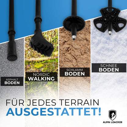 ALPIN LOACKER Telescopic hiking poles made of aluminum and carbon with cork grip I Lightweight Nordic walking sticks for women and men for skiing and hiking I Trekking poles for mountaineering, light grey