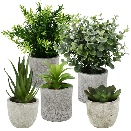 5 artificial plants, Mini Artificial Snake Tongue Plants, Agave Succulent, Eagle Claw Aloe, Artificial Plants for Bedroom Office Decoration