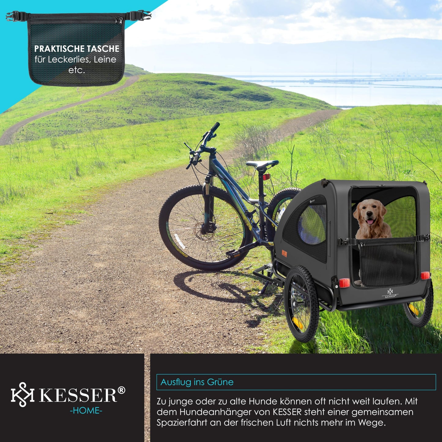 KESSER® Dog Trailer Boxer 2-in-1 Dog Stroller Bike Trailer large approx. 250L volume - Incl. flag and bag - 600D Oxford Canvas, foldable SmartSpace Concept, max. 45kg, Anthracite