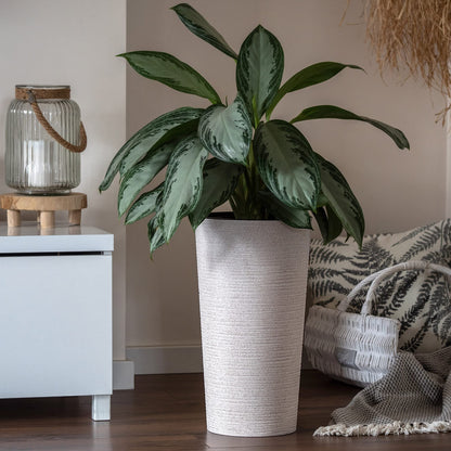 KADAX Plant Pot with Inner Pot Cream Ø 30 cm, Height 57.5 cm - Modern plant pot with insert, made of durable plastic for indoor and outdoor use, ideal for living room, balcony, office.