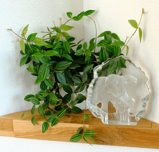 Kaltner Präsente gift idea - glass display figure sculpture elephant with baby elephant