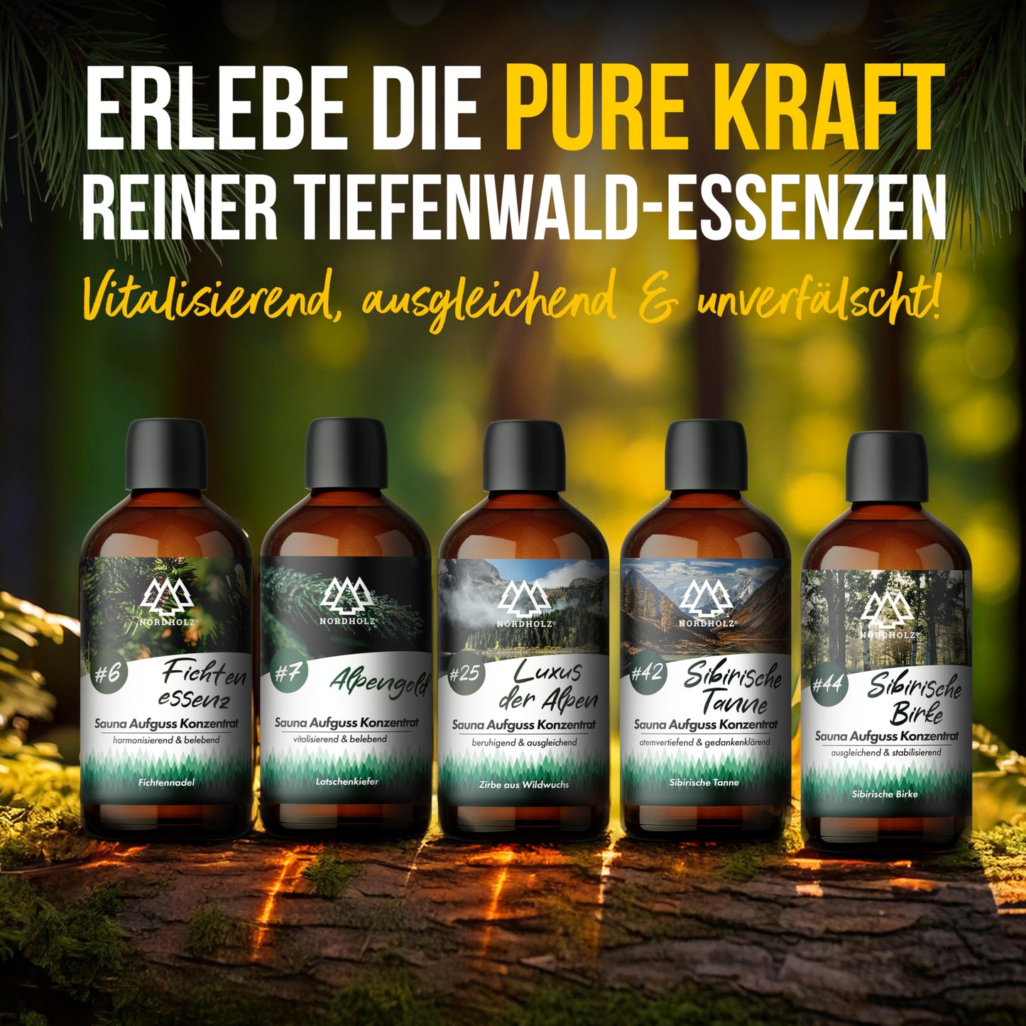 NORDHOLZ® Sauna infusion set - Premium quality [Deep forest essences - 4x100ml] special & natural sauna infusion for intense & relaxing scent - Sauna accessories for sauna fans.