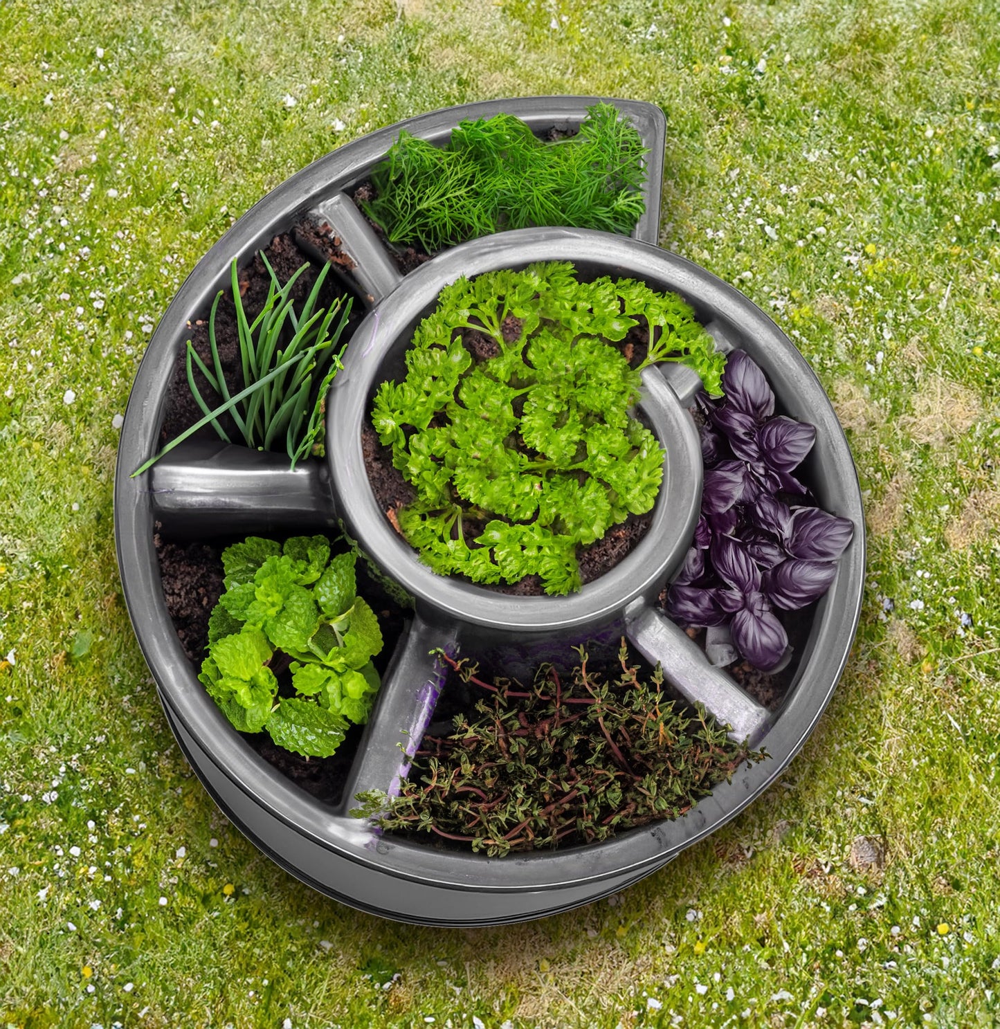 Spetebo Plastic Herb Spiral in anthracite - 52 x 43 cm - Round plant stand with 6 compartments - Garden decoration Flower snail Herb tower Plant spiral Herb bed Flower pot Plant pot