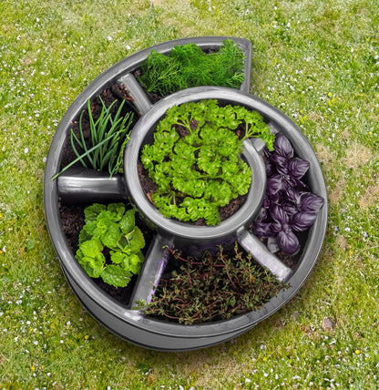 Spetebo Plastic Herb Spiral in anthracite - 52 x 43 cm - Round plant stand with 6 compartments - Garden decoration Flower snail Herb tower Plant spiral Herb bed Flower pot Plant pot