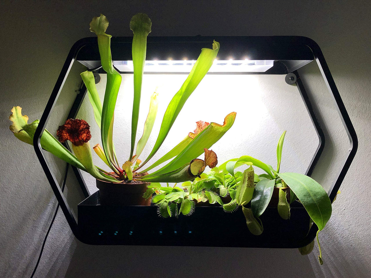 Northpoint Design LED plant lamp indoor garden grow light metal frame 14W 1000 lumens timer industrial look