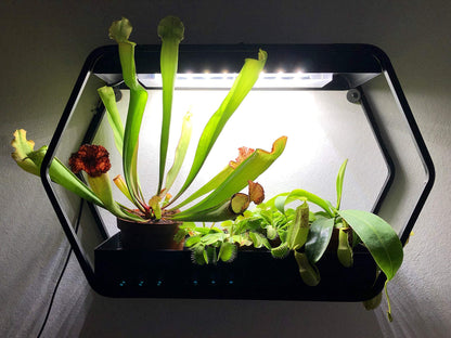 Northpoint Design LED plant lamp indoor garden grow light metal frame 14W 1000 lumens timer industrial look