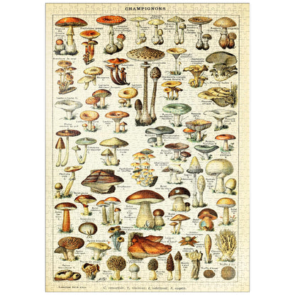 MyPuzzle Mushrooms - Vintage Art Poster, Adolphe Millot - Premium 1000 Piece Puzzle - MyPuzzle Special Collection by Havana Puzzle Company.