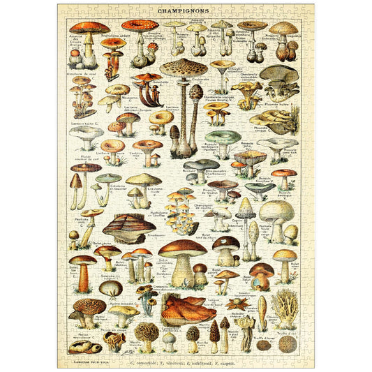 MyPuzzle Mushrooms - Vintage Art Poster, Adolphe Millot - Premium 1000 Piece Puzzle - MyPuzzle Special Collection by Havana Puzzle Company.