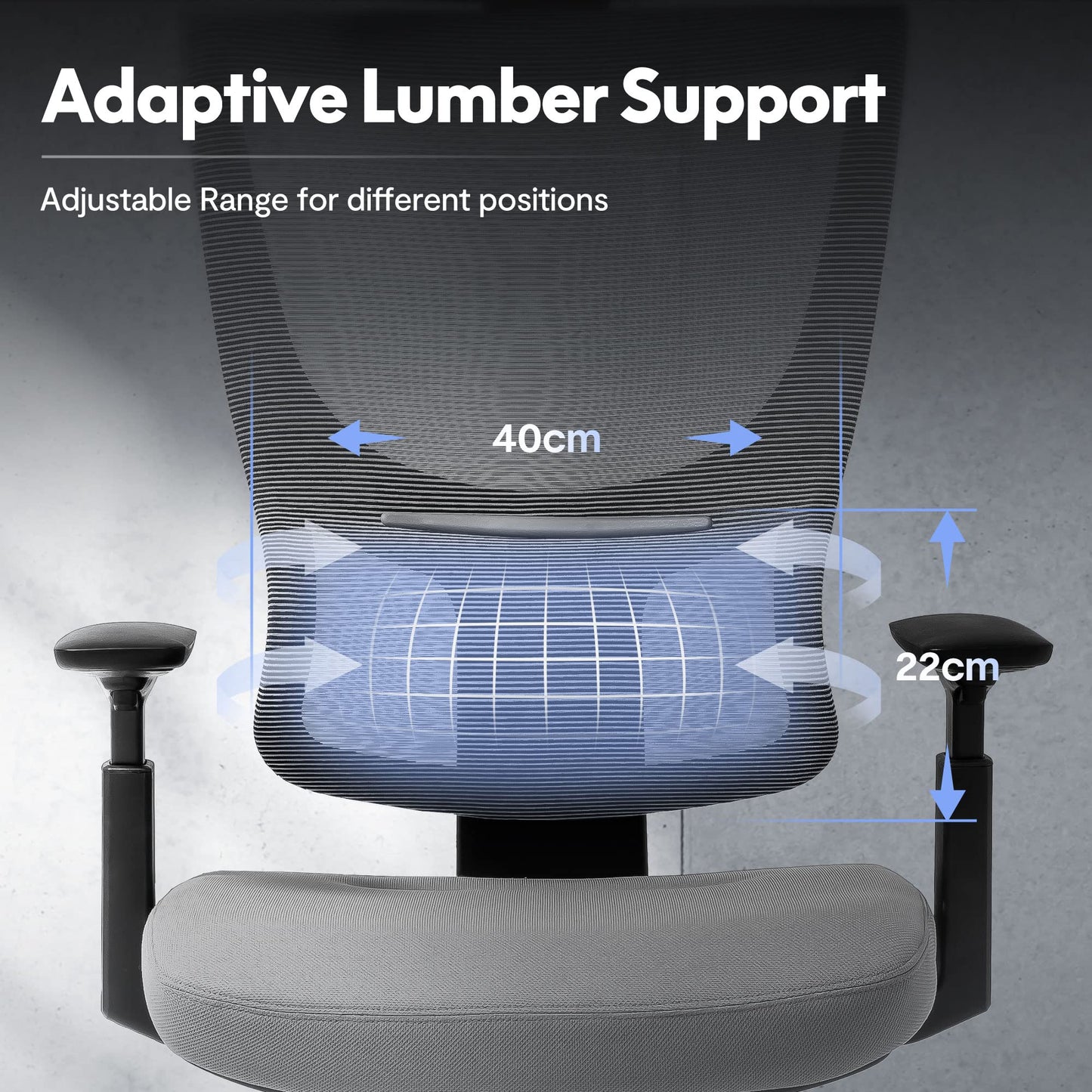 FLEXISPOT ergonomic office chair desk chair computer chair adjustable seat headrest 3D armrest lumbar support caster wheels task chair BS8G GRAY