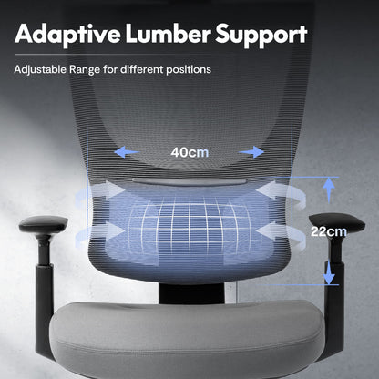 FLEXISPOT ergonomic office chair desk chair computer chair adjustable seat headrest 3D armrest lumbar support caster wheels task chair BS8G GRAY