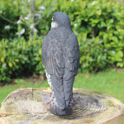 Vivid Arts XRL-PFAL-B Peregrine Falcon, resin garden decoration