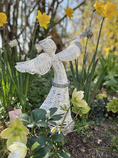 LEDANGEL - Relax Series - LED Angel Small, Decorative Figure, Battery-Powered, with Timer, 50cm, Warm White, Indoor and Outdoor, Decor for Room, Garden, for Table, Windowsill, Fireplace, Christmas Figure, Gift