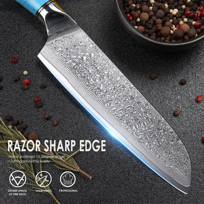 Home Safety Santoku Knife, Damascus Knife, Damascus Sushi Knife with Extremely Sharp 17.5 cm Blade Vegetable Knife made of 67 Layers of Vg-10 Damascus Steel Ergonomic Resin Handle, Gift Box