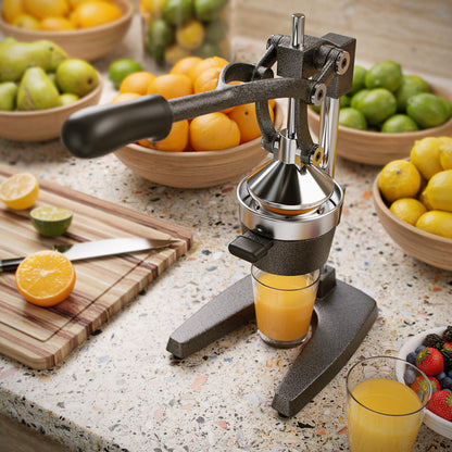 Arendo - Juice Press - Manual Juicer Stainless Steel - Mechanical Juicer - Orange Press Citrus Press Manual with Lever - for Oranges Grapefruits Citrus Fruits - solid construction