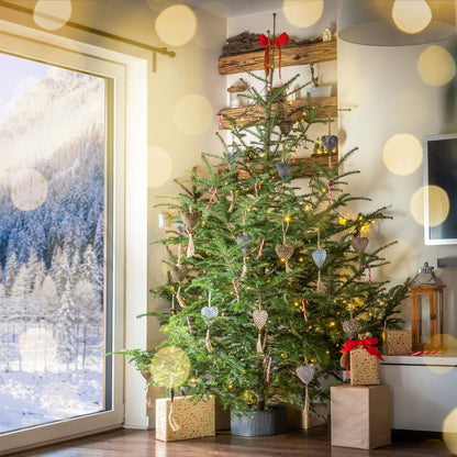 KADAX Christmas tree stand, made from recycled plastic, for real trees up to 250cm in height. Graphite color.