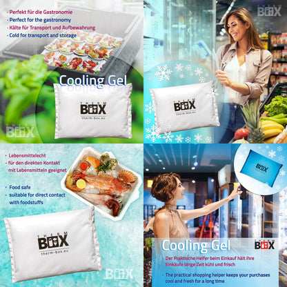 THERM-BOX Styrofoam box 61W with 5 cooling elements for cooler 61.5L Interior: 53x33x34cm Transport box Thermal container Reusable