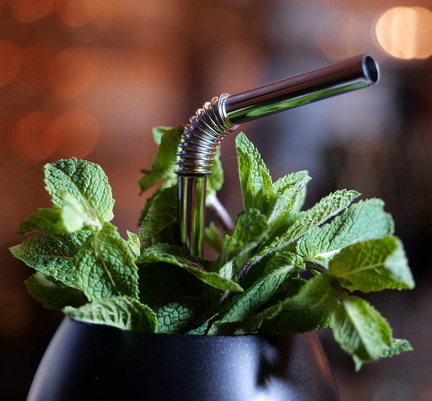HalmBrothers | THE ONLY 𝗕𝗜𝗘𝗚𝗦𝗔𝗠𝗘 stainless steel straw | Patented & hygienic certified | Reusable metal drinking straw | Stainless steel straws for drinks, metal straws