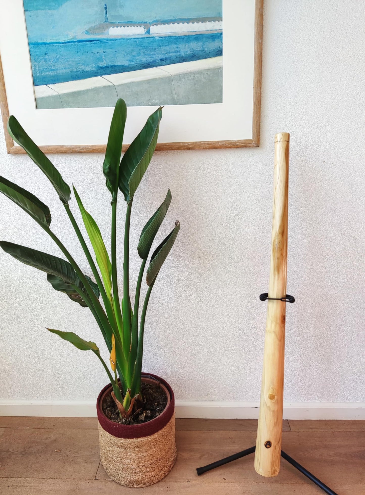 Australian Treasures - DIDGERIDOO: Natural Wood 120cm - including didgeridoo bag