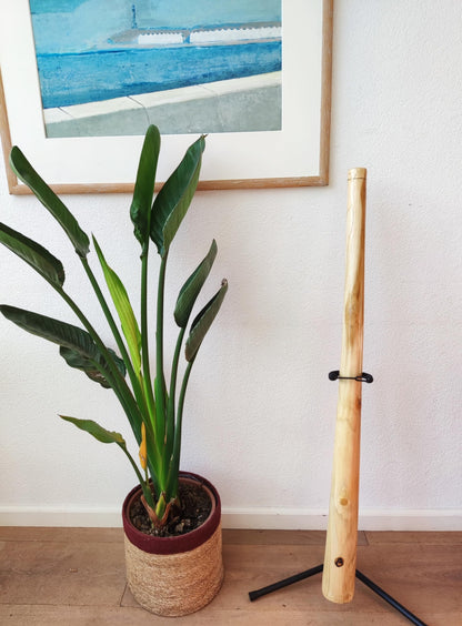 Australian Treasures - DIDGERIDOO: Natural Wood 120cm - including didgeridoo bag