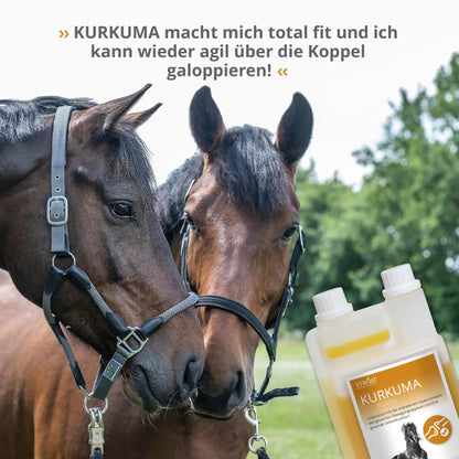 STRÖH Turmeric for Horses (1L dosing bottle) • Supports healthy joint function in horses • Strengthens cartilage, ligaments, joints & tendons