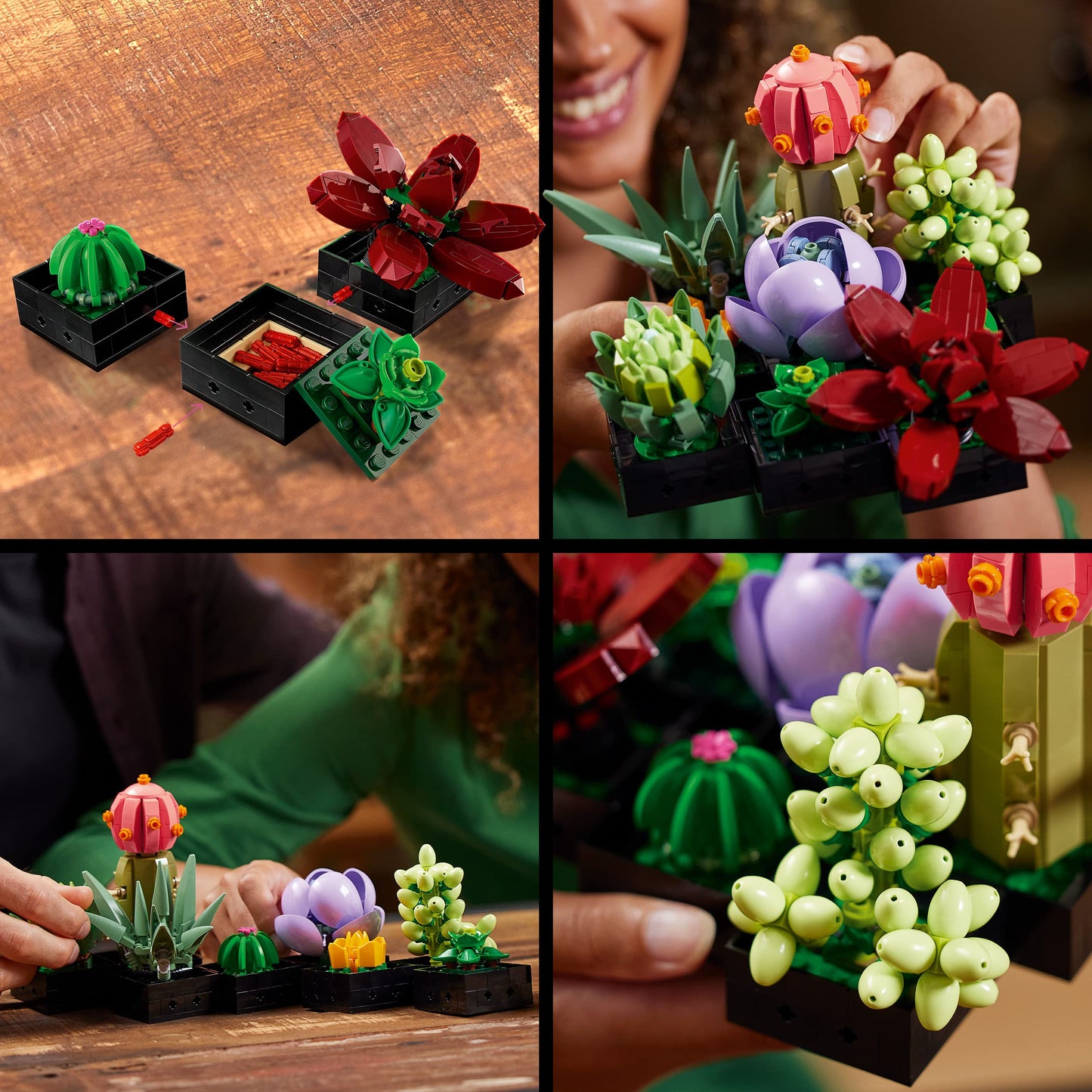 LEGO 10309 Icons Succulent Botanical Collection Set for adults to craft room decor with 9 buildable artificial mini plants, Home Decor & 10311 Icons Orchid Set for adults.
