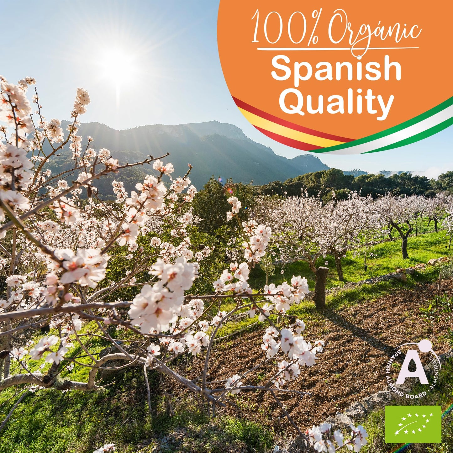 Almond Oil ORGANIC Pure, Cold Pressed, Natural. Cosmetic Massage Oil, Hair and Beard Oil, Body Oil, Anti-Wrinkle Facial Oil, Stretch Marks, Nails, Almond Oil Baby, Scalp Oil - 5000 ml
