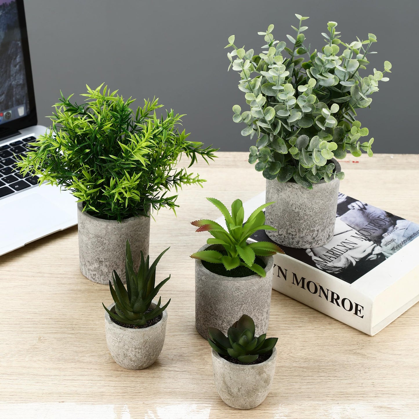 5 artificial plants, Mini Artificial Snake Tongue Plants, Agave Succulent, Eagle Claw Aloe, Artificial Plants for Bedroom Office Decoration