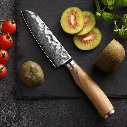 zayiko Minami Premium small Santoku knife with 12 cm blade made of 67 layers of genuine Damascus steel with hammered finish and olive wood handle I wooden box I Damascus knife kitchen knife and professional chef's knife