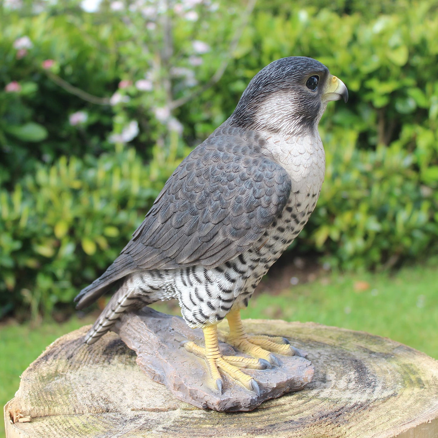 Vivid Arts XRL-PFAL-B Peregrine Falcon, resin garden decoration
