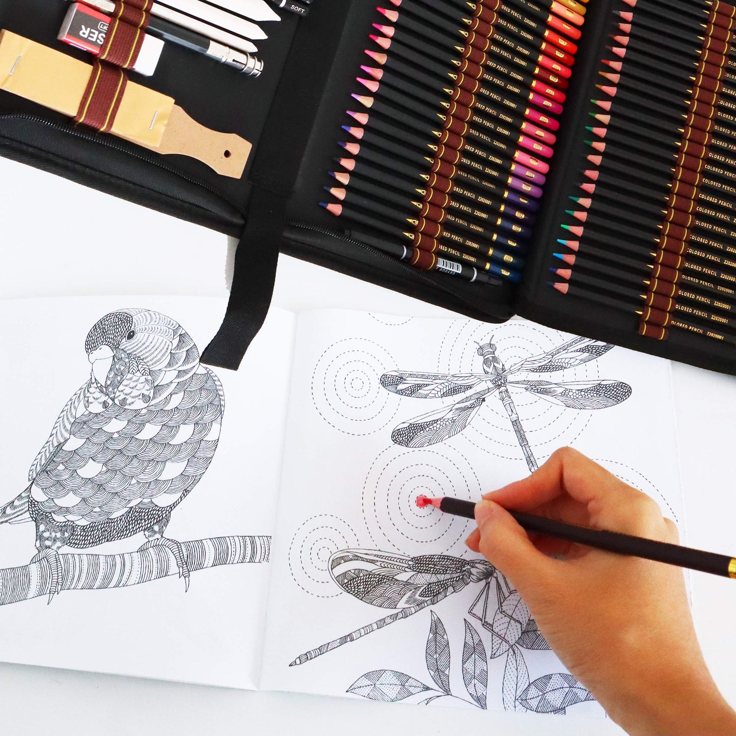 Colored pencils, sketching pencils, and drawing pencils set for sketching and drawing. Professional art set and kit bag with 72 pieces. Set for adult coloring books.