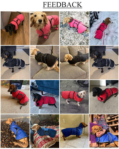 Geyecete - Warm winter coat for Dachshund dogs, dog winter jackets with plush lining, outdoor jackets with adjustable belt and harness hole, for medium and small Dachshunds - Blue - XL